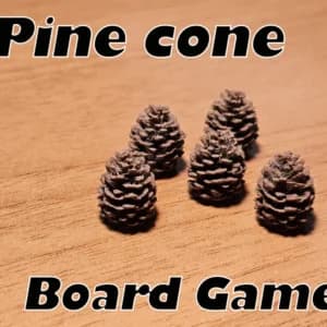 Universal Tokens - Pine Cone view 1