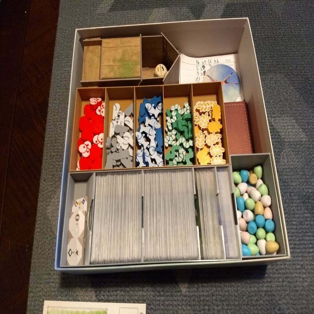 Wingspan Insert view 1