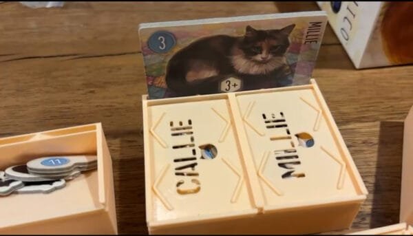 Calico Organizer - Image 4