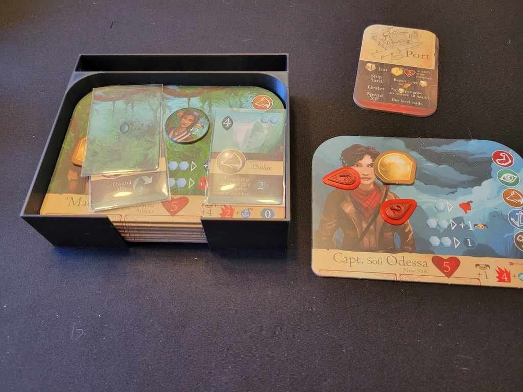 Sleeping Gods Insert - Image 4