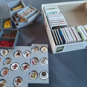 Paleo Insert