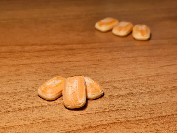 Universal Tokens - Bread - Image 3