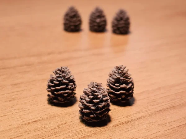 Universal Tokens - Pine Cone - Image 2