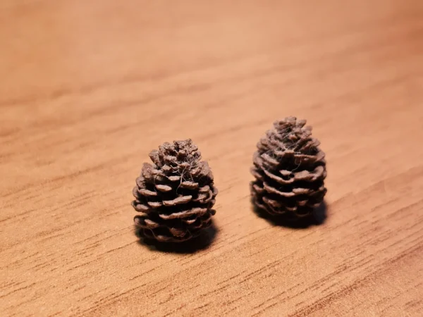 Universal Tokens - Pine Cone - Image 3