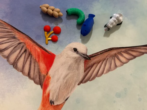 Wingspan tokens - Image 2